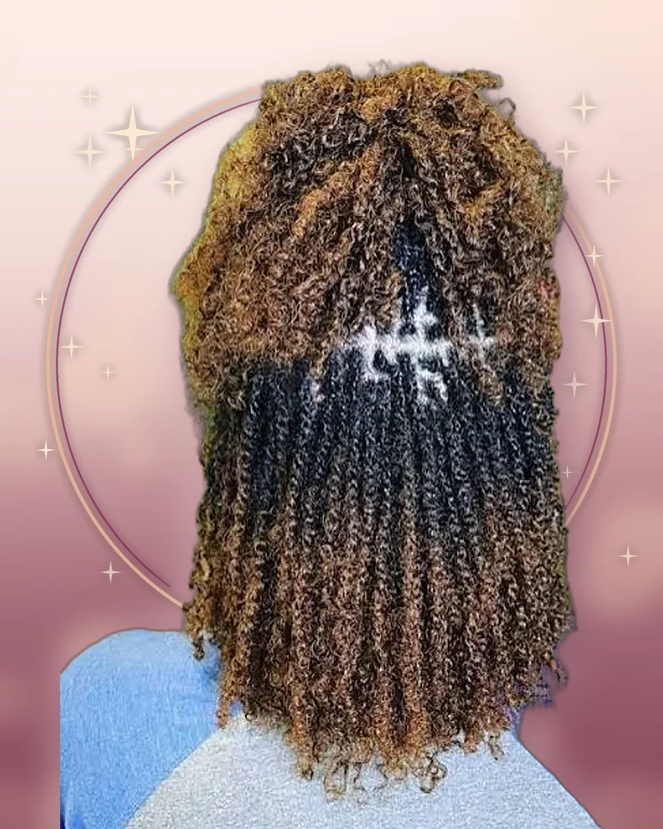 Other Hair Styles by Lena Hair Braiding